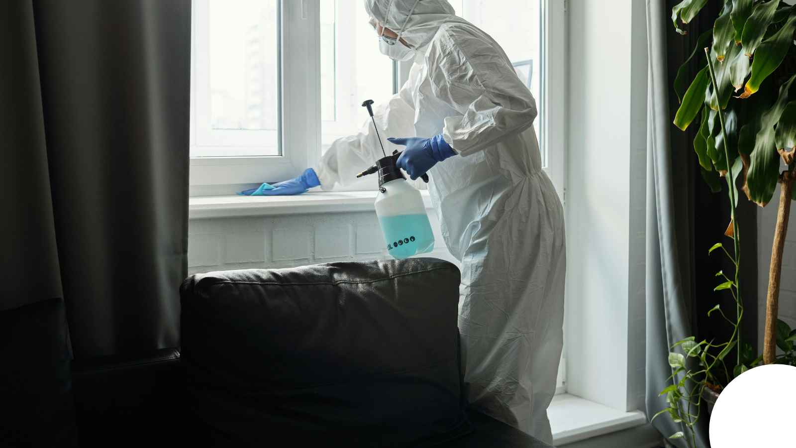 Biohazard Cleanup in Charlotte, NC — Charlotte Tear gas cleanup
